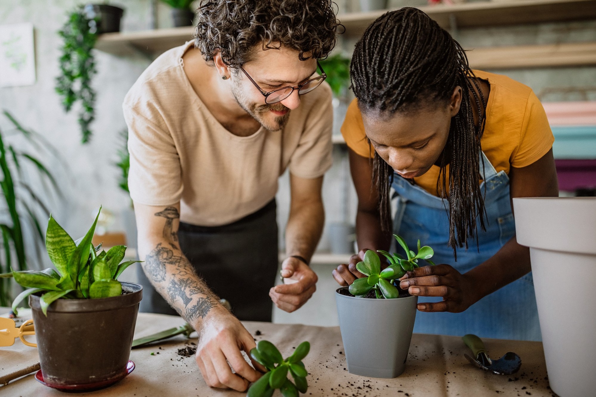 Man-Women -repotting-plants-power-skills-1-1